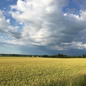 Meet your Posher, Karyn